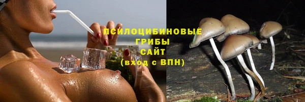 стафф Осташков