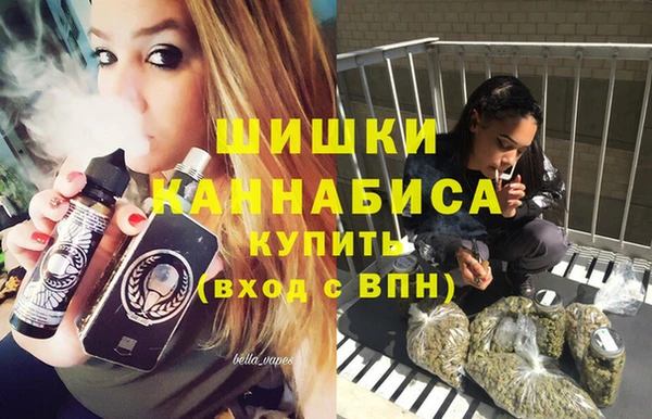 стафф Осташков