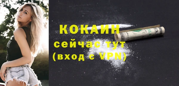 стафф Осташков