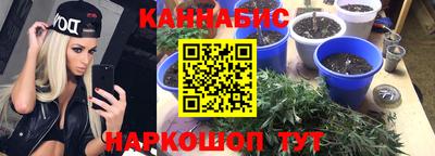 прущие грибы Гусев