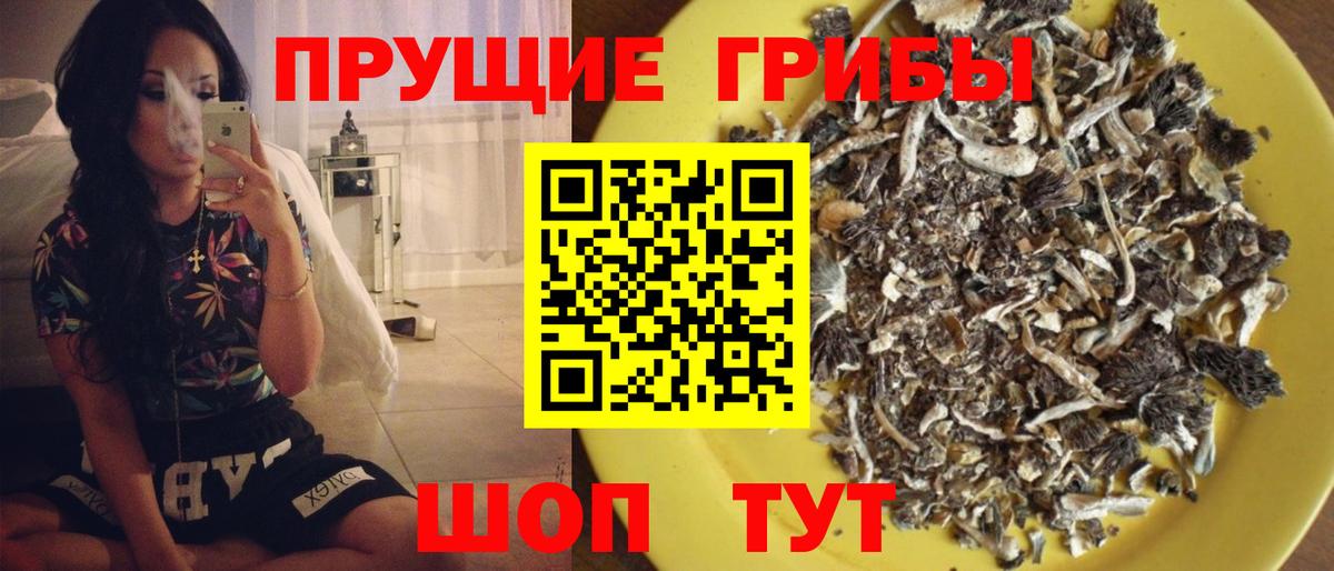 Галлюциногенные грибы GOLDEN TEACHER Сарапул